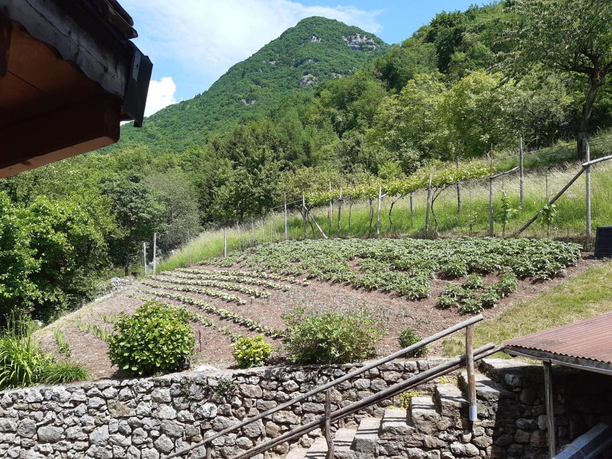 Ca' Berti Appartamento Con Terrazza Ville Del Monte Tenno Exterior foto